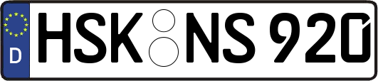 HSK-NS920