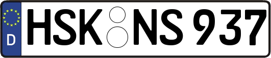 HSK-NS937