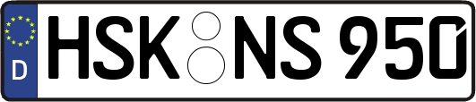 HSK-NS950