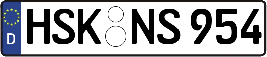 HSK-NS954