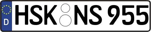 HSK-NS955