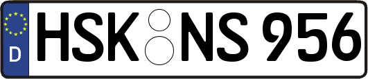 HSK-NS956