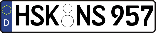 HSK-NS957