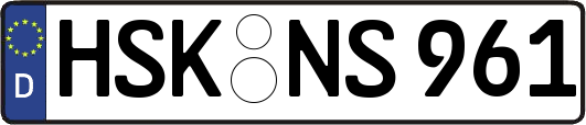 HSK-NS961