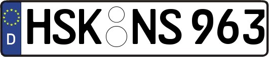 HSK-NS963