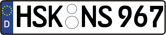 HSK-NS967