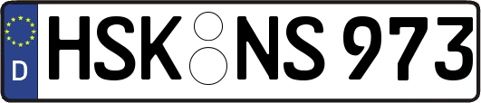 HSK-NS973