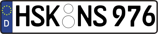 HSK-NS976