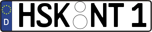 HSK-NT1