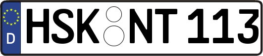 HSK-NT113