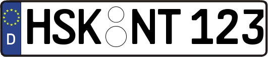 HSK-NT123