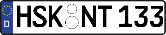 HSK-NT133