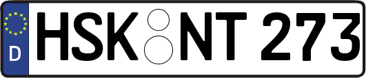 HSK-NT273