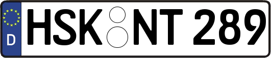 HSK-NT289