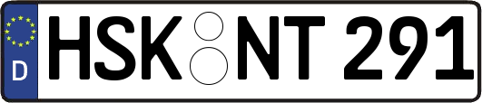 HSK-NT291