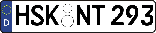 HSK-NT293