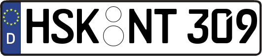 HSK-NT309