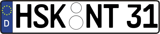 HSK-NT31