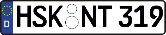 HSK-NT319
