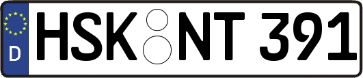HSK-NT391