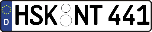 HSK-NT441