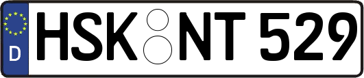 HSK-NT529