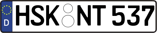 HSK-NT537