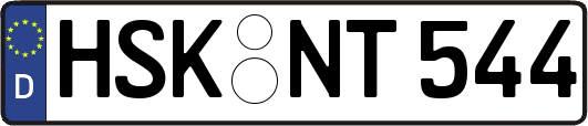 HSK-NT544