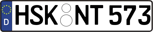 HSK-NT573