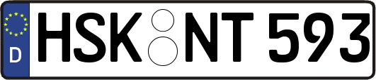 HSK-NT593