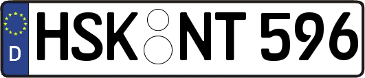 HSK-NT596