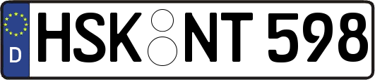 HSK-NT598