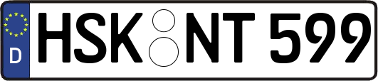 HSK-NT599
