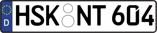 HSK-NT604