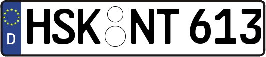 HSK-NT613