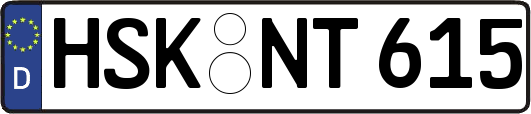 HSK-NT615