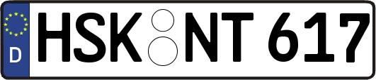HSK-NT617