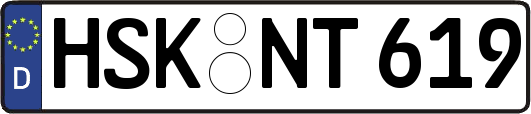 HSK-NT619