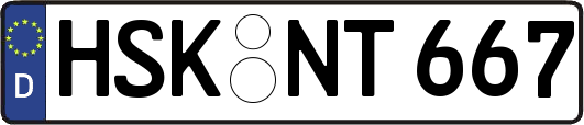 HSK-NT667