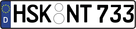 HSK-NT733