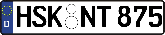 HSK-NT875