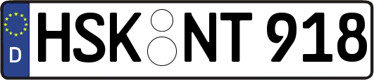 HSK-NT918