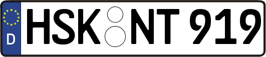 HSK-NT919