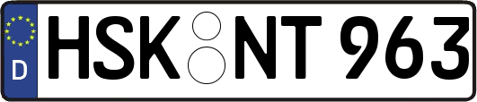 HSK-NT963