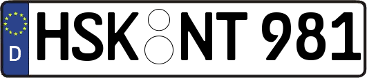 HSK-NT981