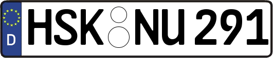 HSK-NU291