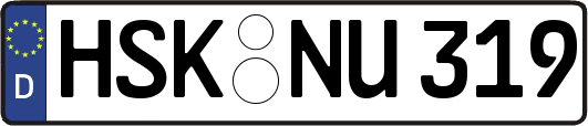 HSK-NU319