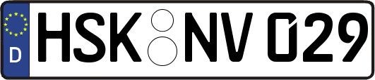HSK-NV029