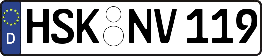 HSK-NV119