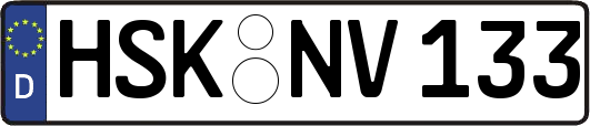 HSK-NV133